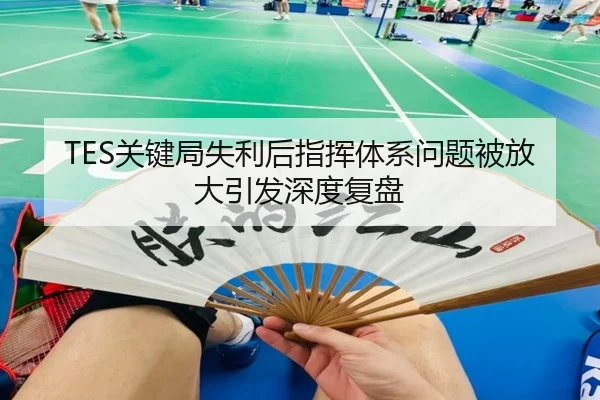TES关键局失利后指挥体系问题被放大引发深度复盘 | KAIYUN
